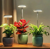 Iliana - Adjustable LED Plant Grow Light